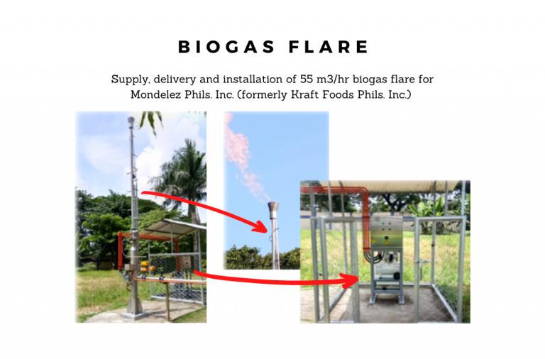 Biogas flare installation