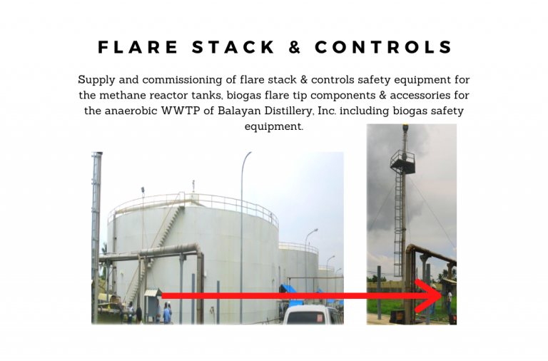 Biogas flare system